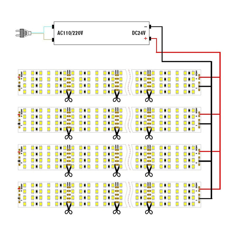 LED Quad Row Flexible Tape Lights 24V DC 16 ft