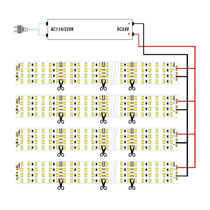 LED Quad Row Flexible Tape Lights 24V DC 16 ft