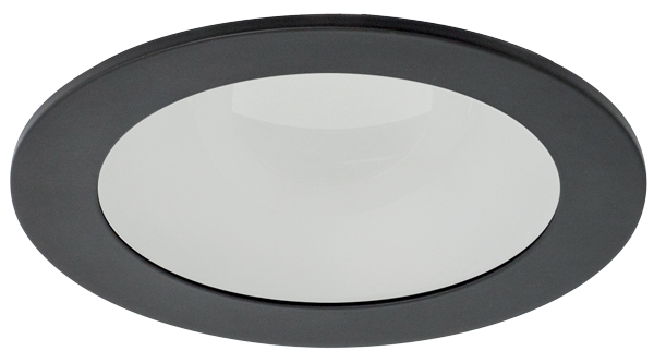 4 in Canless Round Adjustable Reflector with Frosted Lens