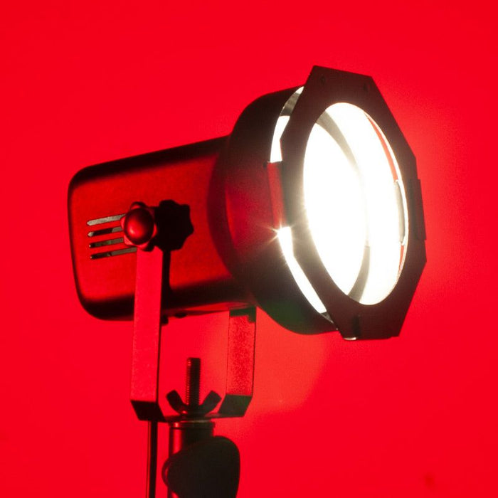 PAR 38 Theater Spot Light