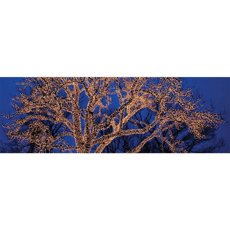 LED Lumastar String Light - step-1-dezigns