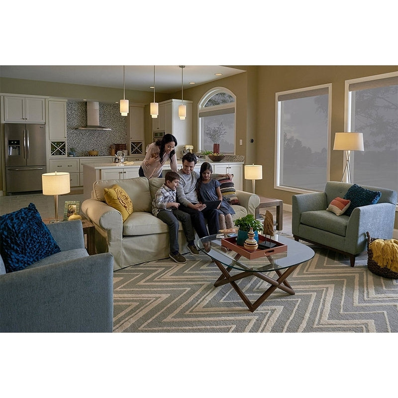 Smart Bridge In-Wall Dimmer Kit - Step 1 Dezigns