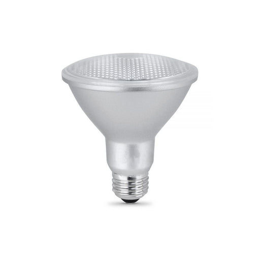 LED PAR30 Light Bulbs - step-1-dezigns
