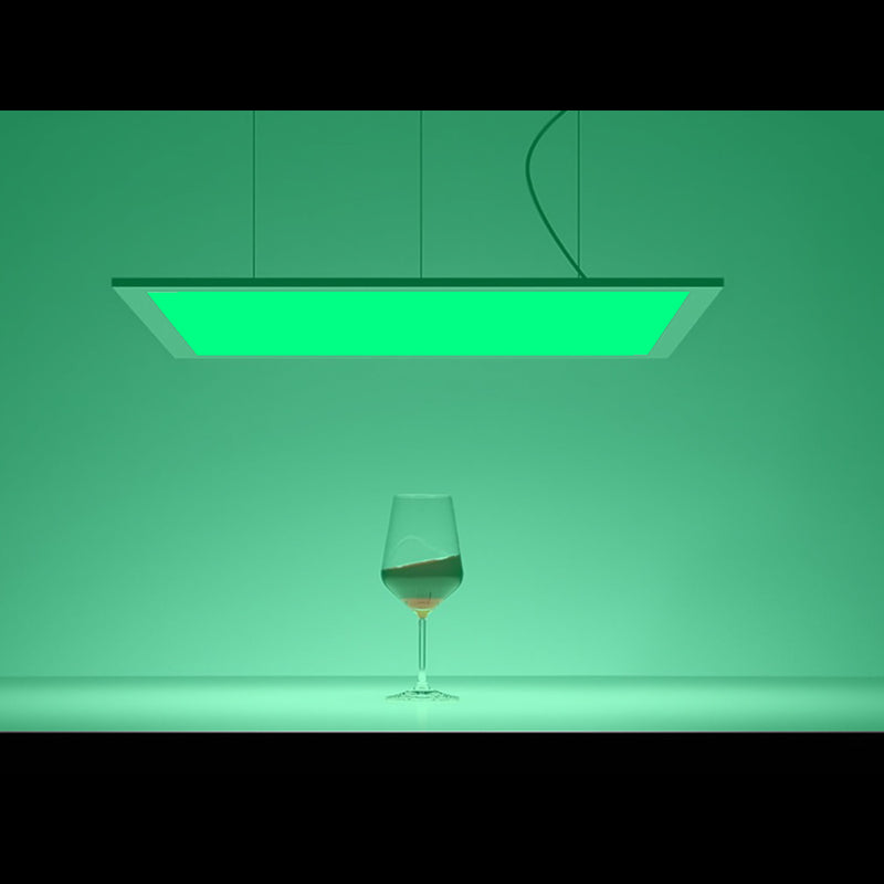 LED RGB Panel Light 12 in x 24 in - Step 1 Dezigns